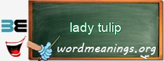 WordMeaning blackboard for lady tulip